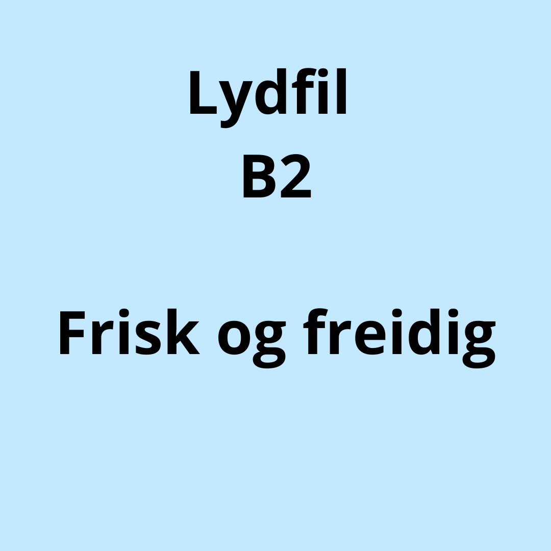 B2 Lydfil