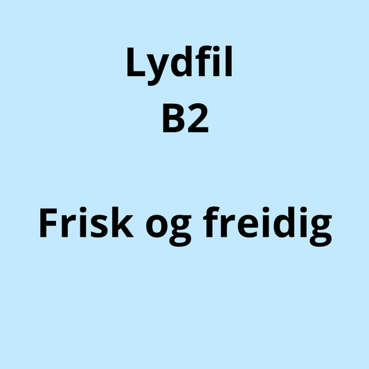 B2 Lydfil